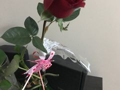 -奔驰北京鹏龙星徽(西大望路店)