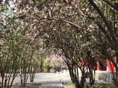 -东华门大街小区