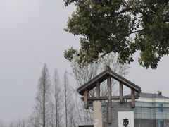 -东梓关景区村庄