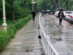 -卫鼎轩·家宴(水上公园店)