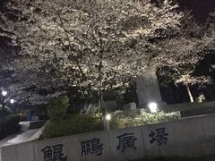 -武汉大学-樱园