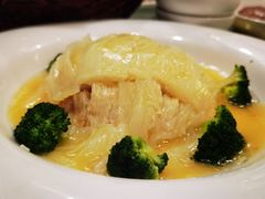 素鱼翅-丁老爷子苏香圆