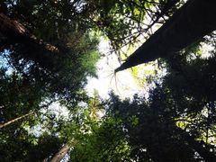 -神农架景区