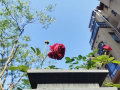 -苏晚快餐(小碗菜·迈皋桥店)