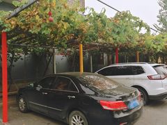 -钰田大院·碳烤虹鳟鱼·怀柔地道农家菜(雁栖湖店)
