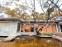 -同庆堂(解放北路店)