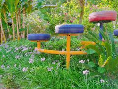 -合肥滨湖国家森林公园