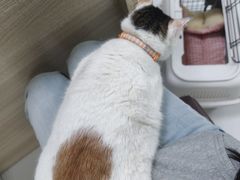 -嘉馨宠物医院·CT影像转诊·心脏科·犬猫全科诊疗中心(下沙大学城院区)