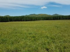 景点-塞罕坝国家级自然保护区