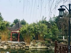 -大渡口区义渡公园