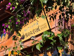 -猫的天空之城概念书店(丽江古城饮玉巷店)