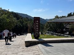 -翼松楼餐厅