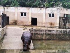 -合肥野生动物园