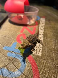 -酷嗒动物文化乐园(cutezoo西溪乐天城店)