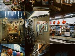 -溪岸路花鸟市场