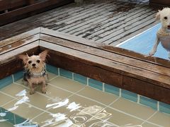 -太阳岛度假酒店