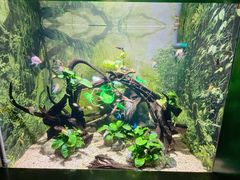 -常州海昌海洋探索馆