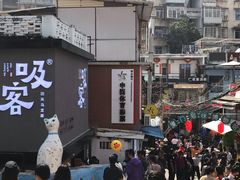 -猫咪博物馆(顶澳仔猫街店)