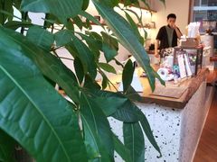 -Line 咖啡(石厦花园店)