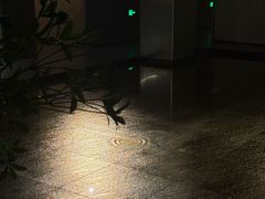 -隐溪茶馆(静安寺店)