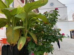 -华谊兄弟（长沙）电影小镇