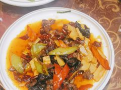-京城·森鸽排档(双井店)