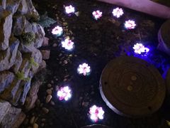 -淀里船宴(裕华东路店)