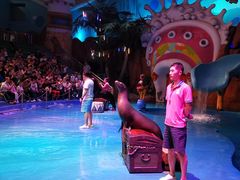 -烟台海昌鲸鲨海洋公园