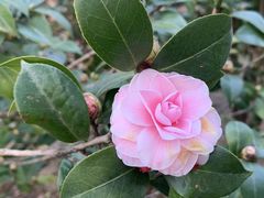 -华南国家植物园-售票处