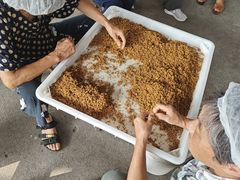 -苏州市吴中区光福窑上花果蜜饯厂