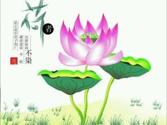 -微山湖红荷湿地景区