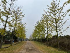 -梁子湖东篱老屋生态庄园