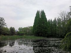 -洛阳市隋唐城遗址植物园