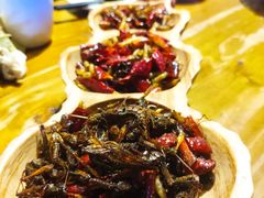 -木王宴语·野生鲜菌火锅(玉河店)