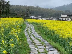 -塔川景区