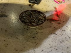 -破瓦寒窑烤羊排·鲜牛肉烧烤