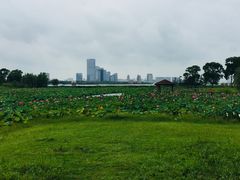 -苏州金鸡湖大酒店