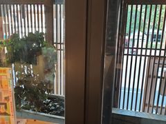 -将军府·鸡毛店(武侯祠店)