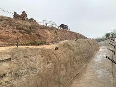 -石家庄市动物园