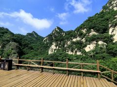 -大岭沟猕猴桃谷风景区