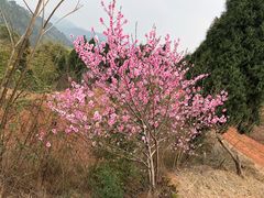 -中国香山·寿香谷