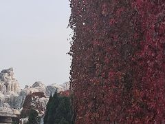 -蓬莱欧乐堡梦幻世界