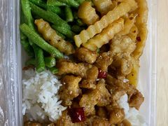 -泉州海丝野生动物世界