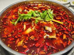 -蛙蛙鸡冷锅鱼(驷马桥店)