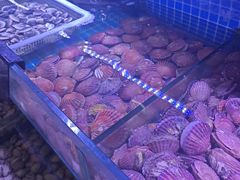 -渔民船说·北塘海鲜·天津菜·海肠捞饭(北塘古镇店)