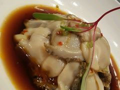 -子福慧(虹桥店)
