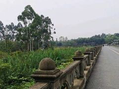 -三圣花乡旅游区