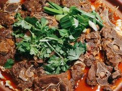-杨氏青龙虾·羊蝎子(托乐嘉店)