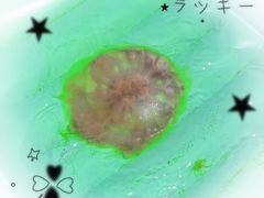 -日照海滨国家森林公园