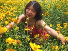 -黄海国家森林公园